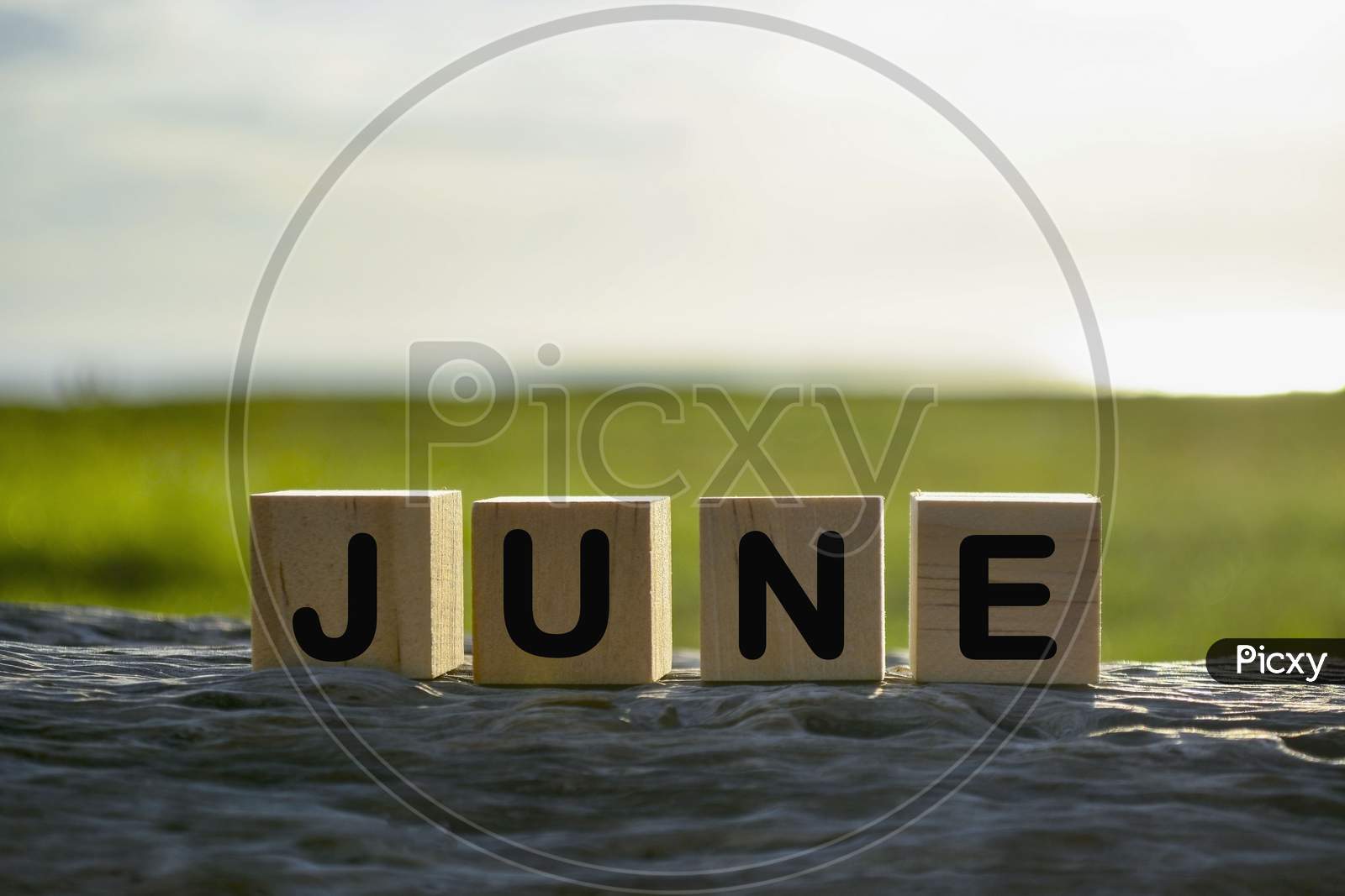June Text On Wooden Cube Block On Old Tree Stump With Blurred Background Of Green Grass Ocean And Sunset