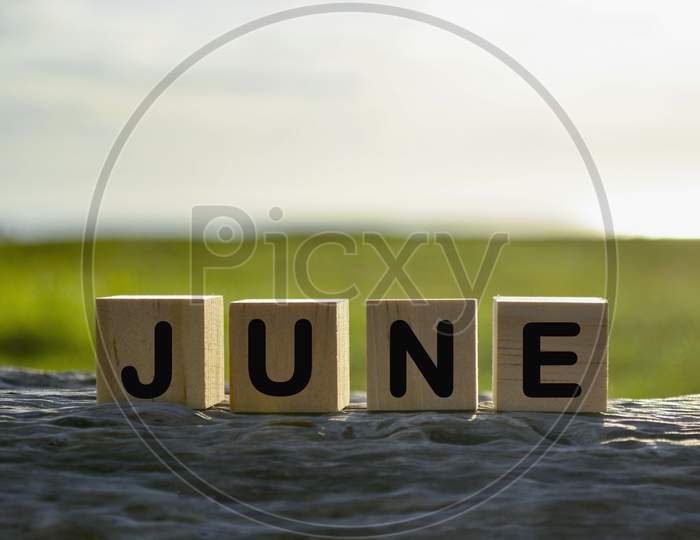 June Text On Wooden Cube Block On Old Tree Stump With Blurred Background Of Green Grass Ocean And Sunset