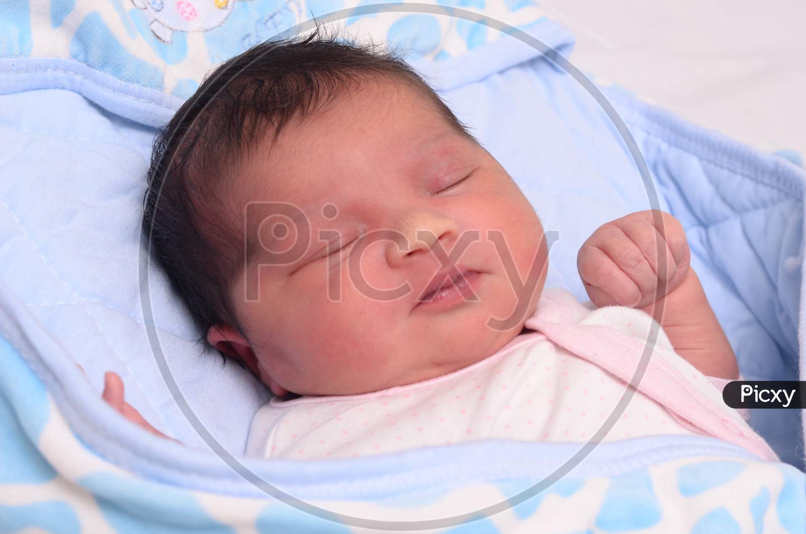 New Born Infant Asleep In The Bed