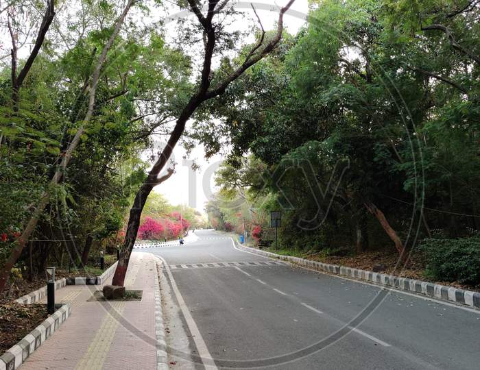JNU campus views