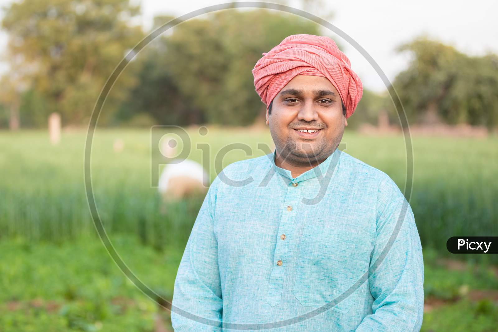 Portrait Of Young Happy Indian Farmer Wearing Traditional Kurta Outfit Standing In Agriculture Green Field. Closeup Looking At Camera.