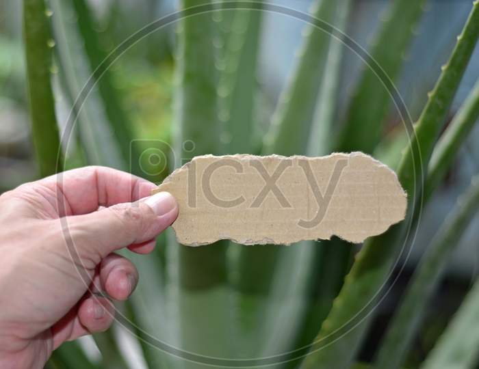 Hands Holding Brown Torn Paper With Blurred Background For Text