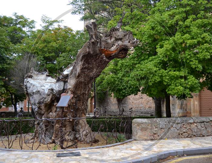 Monument In Homage To A Dry Elm Tree To Which The Writer Antonio Machado Dedicated A Poem