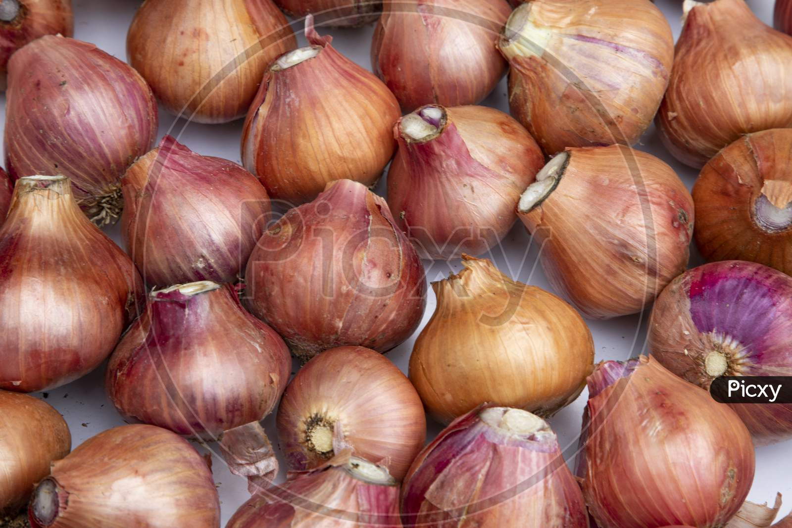 Fresh Onion Background. Full Frame shot