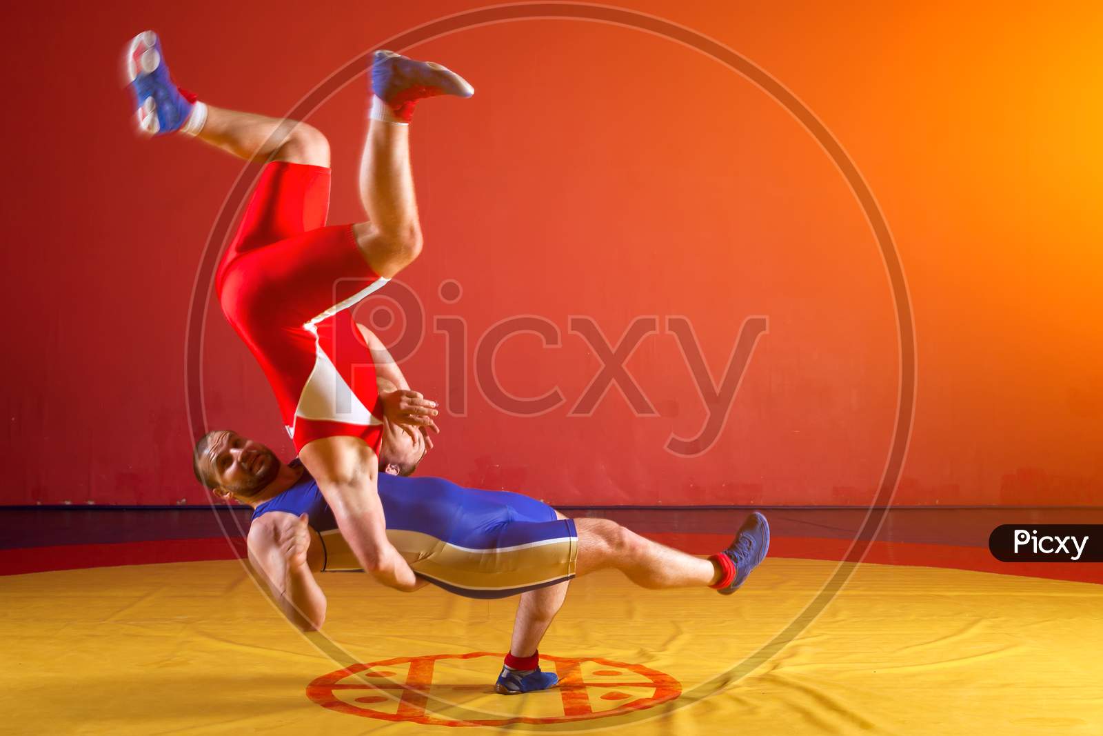 Two Young Men In Blue And Red Wrestling Tights Are Wrestlng And Making A Suplex Wrestling On A Yellow Wrestling Carpet In The Gym