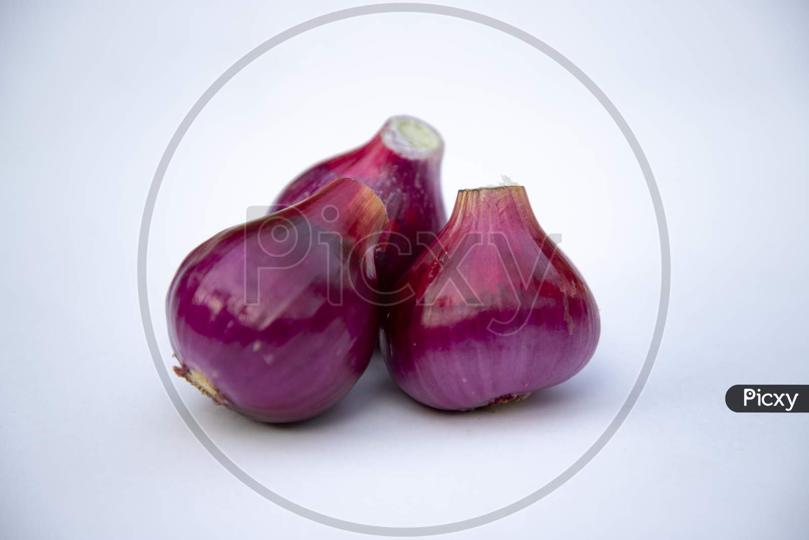 Red onion isolated on white background. close-up photoshoot