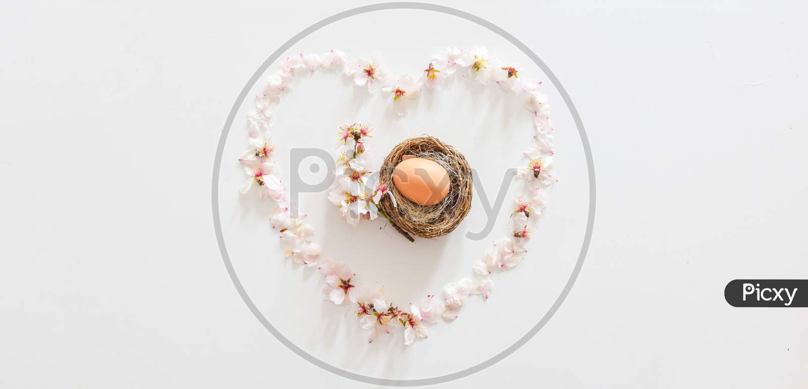 Spring Daisy Flowers Formed Heart With Easter Egg And Daisy Flower In Middle. Symbolic New Beginnings And Newborn Concept