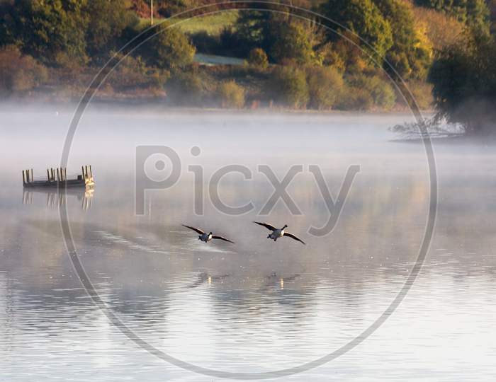 Misty Morning At Weir Wood Reservoir