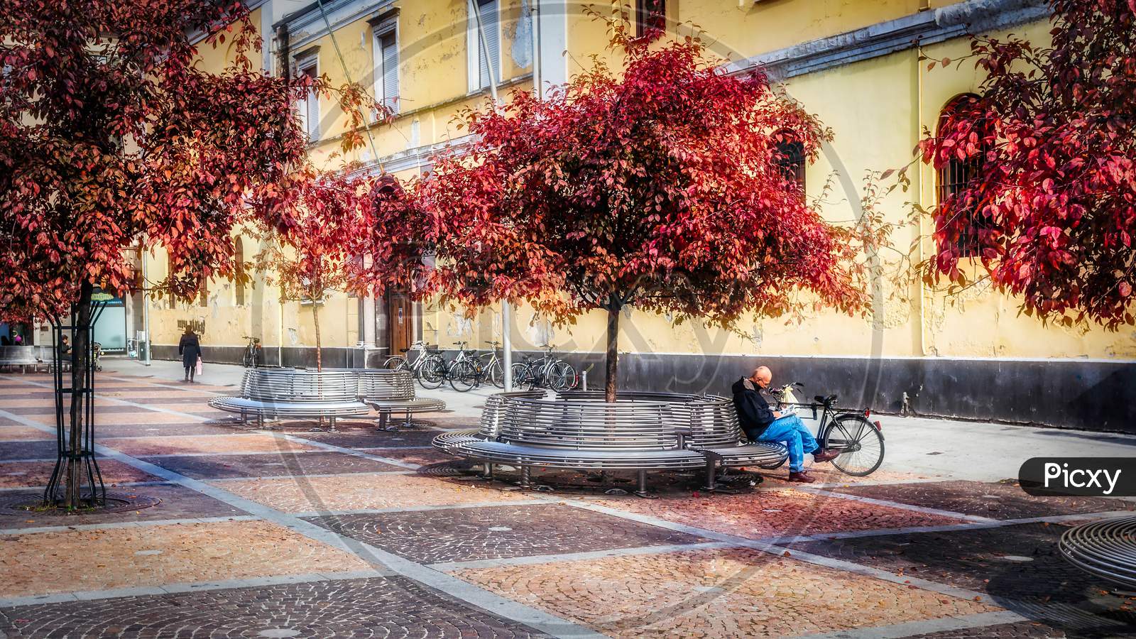 Man Reading In A Street In Monza