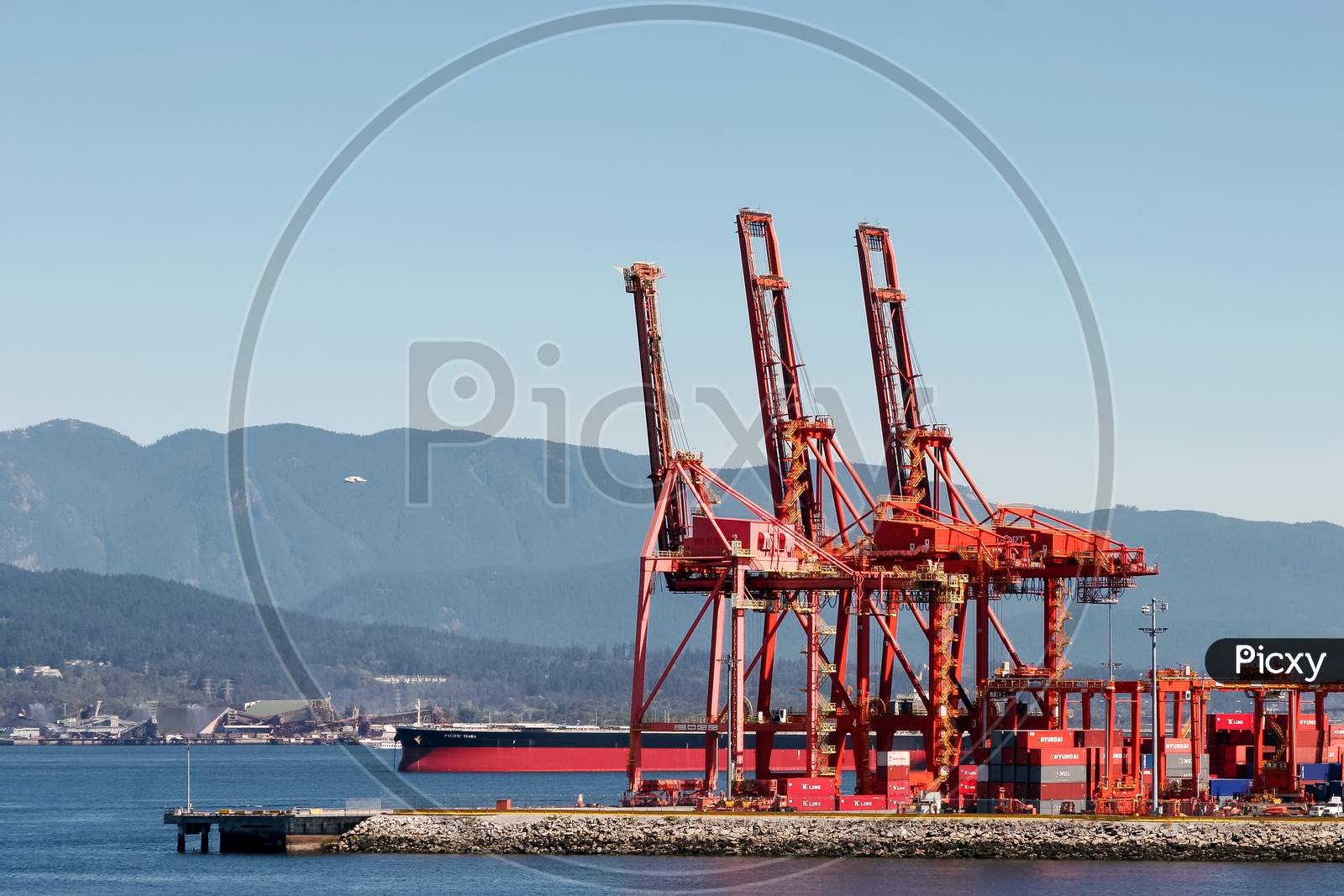 Red Cranes In Vancouver Harbour