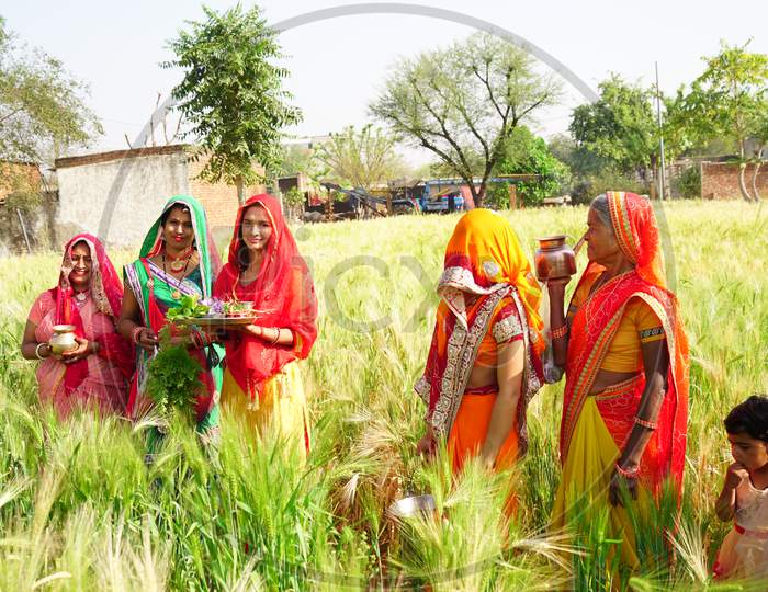 Indian Cultured Women In Wheat Field And Holding Sacred Water Pot To Pray God. Cultured Women In Traditional Dresses.