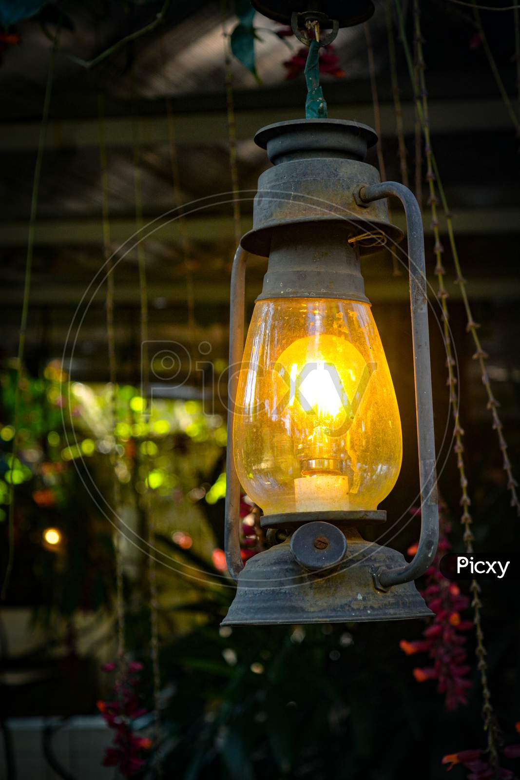the lamp which glowing photography by mr . joswin