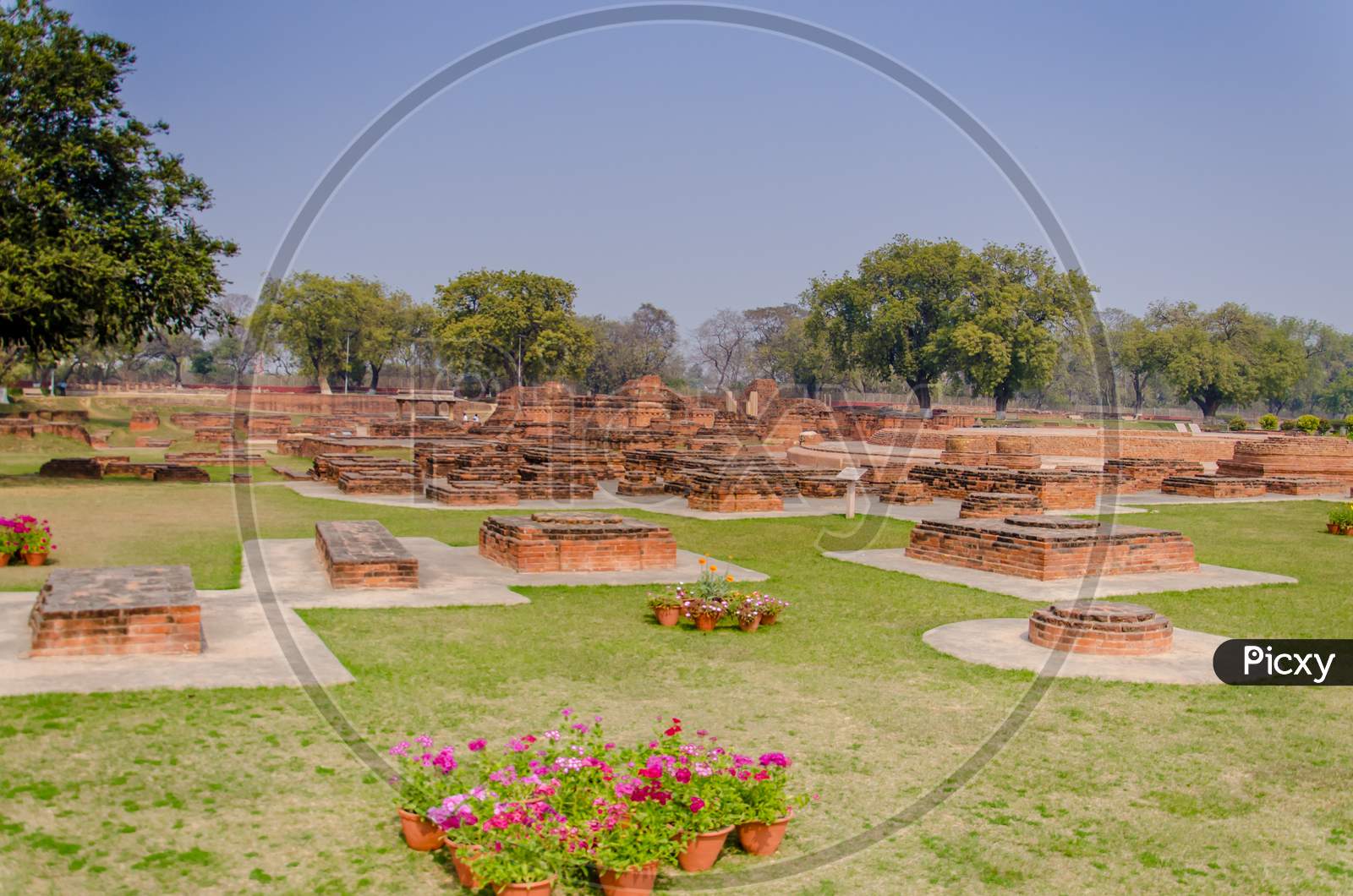 Garden Near Sarnath Stupa In The Memory Of Buddha