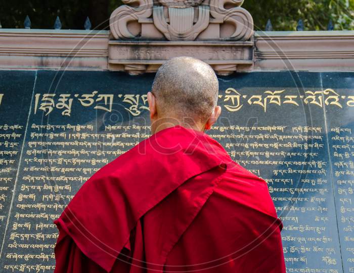 Monk Reading Manuscript In Temple