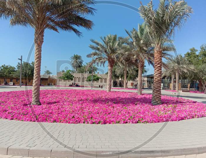 Flower garden in creek Park Dubai