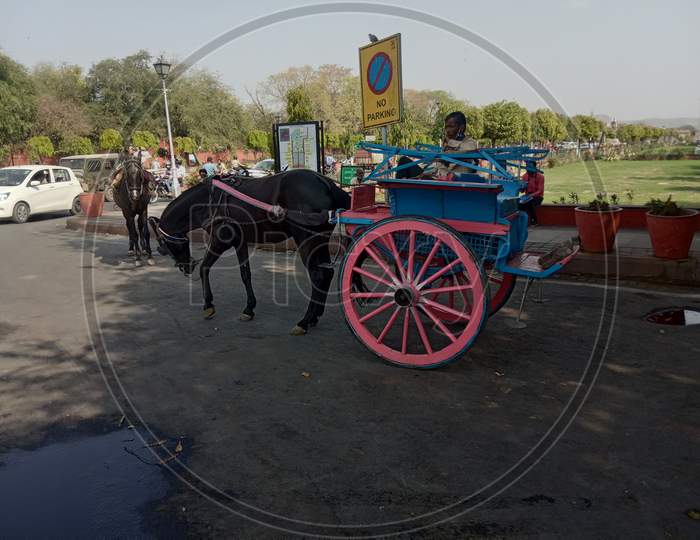 Horse cart, jaipur