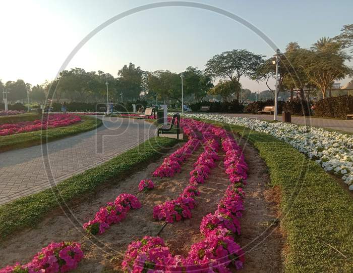 Flower garden in creek Park Dubai