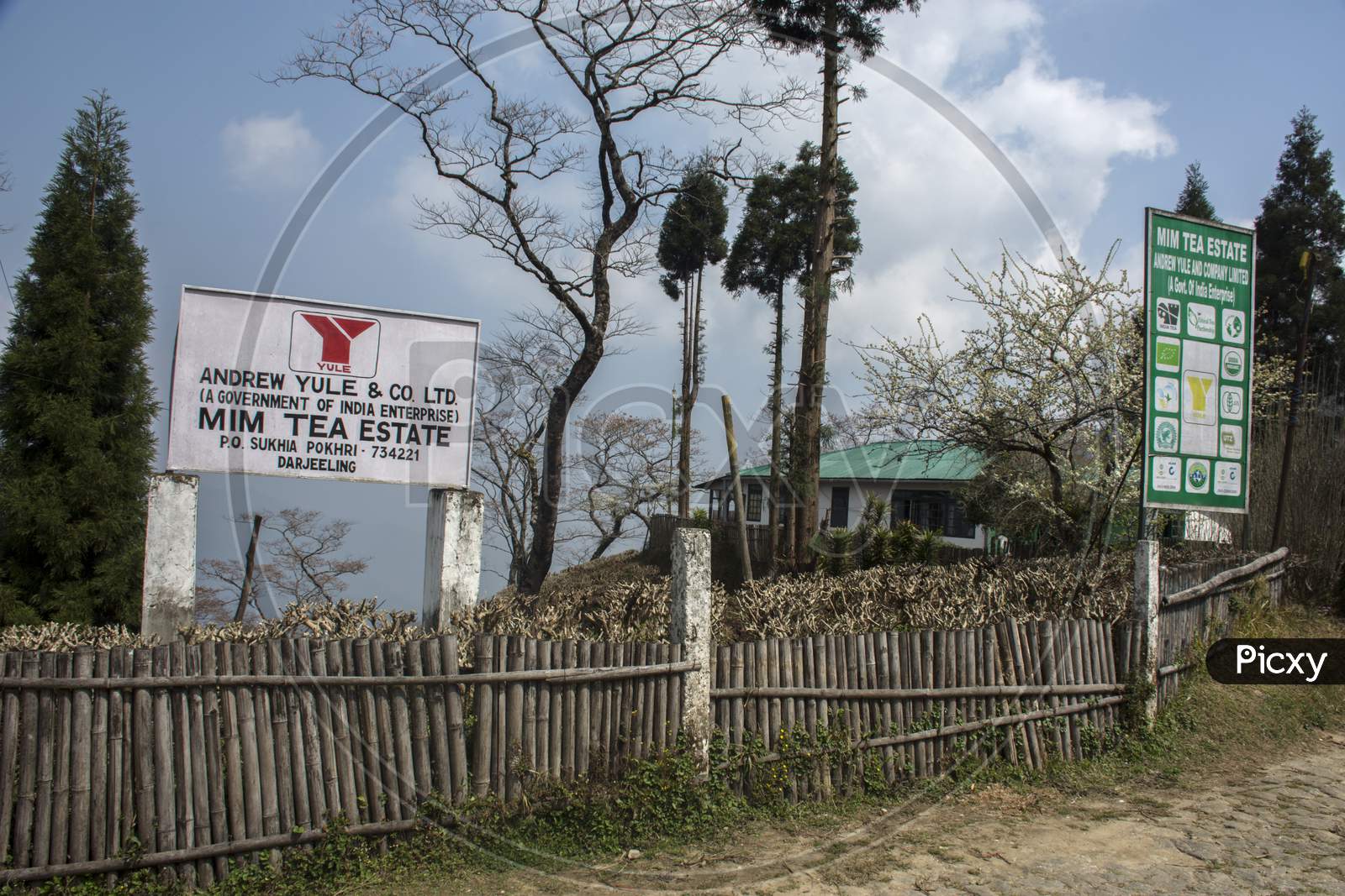 19Th March, 2020, Mim Tea Garden, Darjeeling, West Bengal, India: Sign Board Of Mim Tea Garden Near Darjeeling.