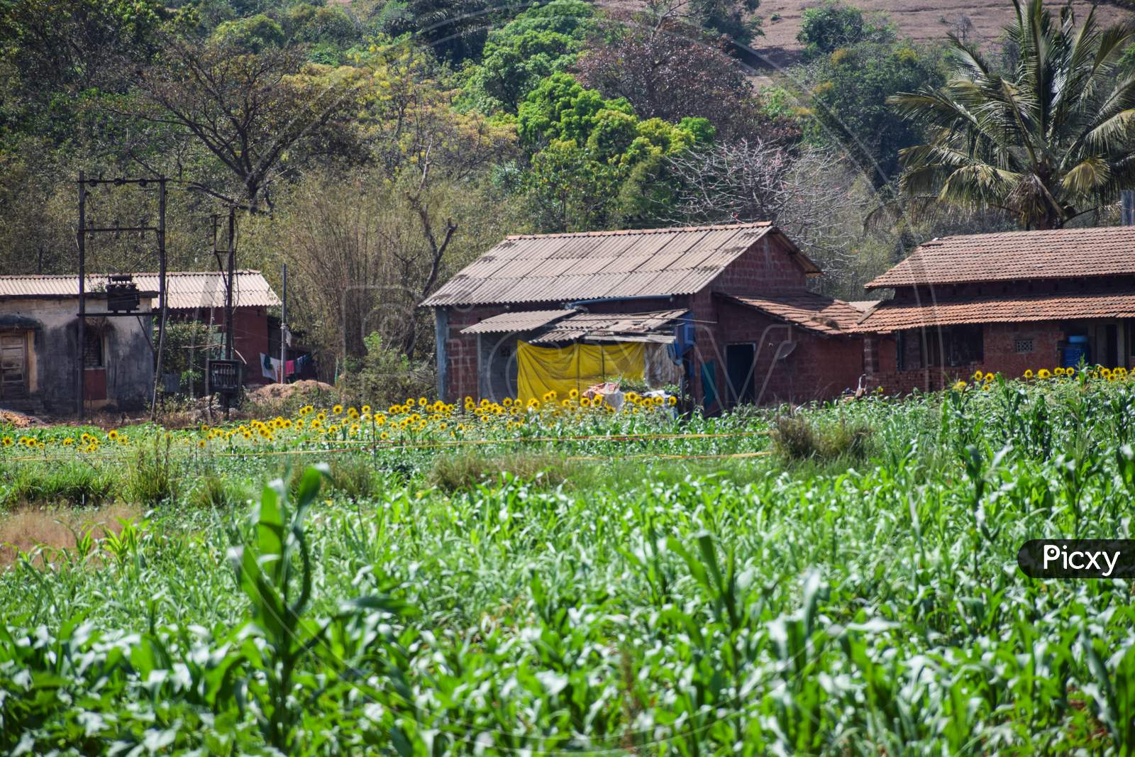 How To Measure Agricultural Land In Maharashtra