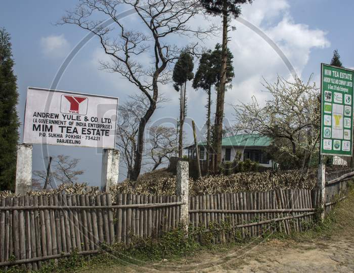 19Th March, 2020, Mim Tea Garden, Darjeeling, West Bengal, India: Sign Board Of Mim Tea Garden Near Darjeeling.
