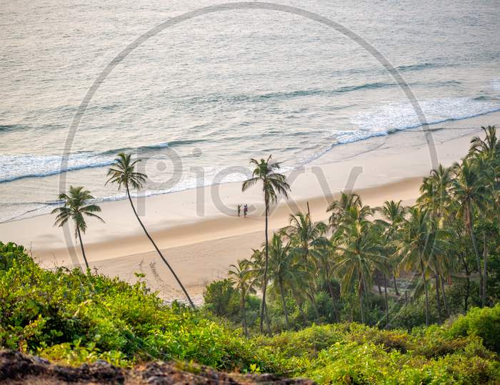Beautiful Landscape Of Indian Ocean With Coconut Trees And Clean Beach