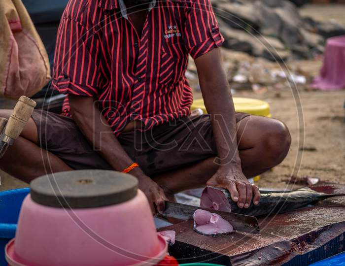 Unidentified Fisherman Cutting Freshly Catch Fish In Malvan Fish Market