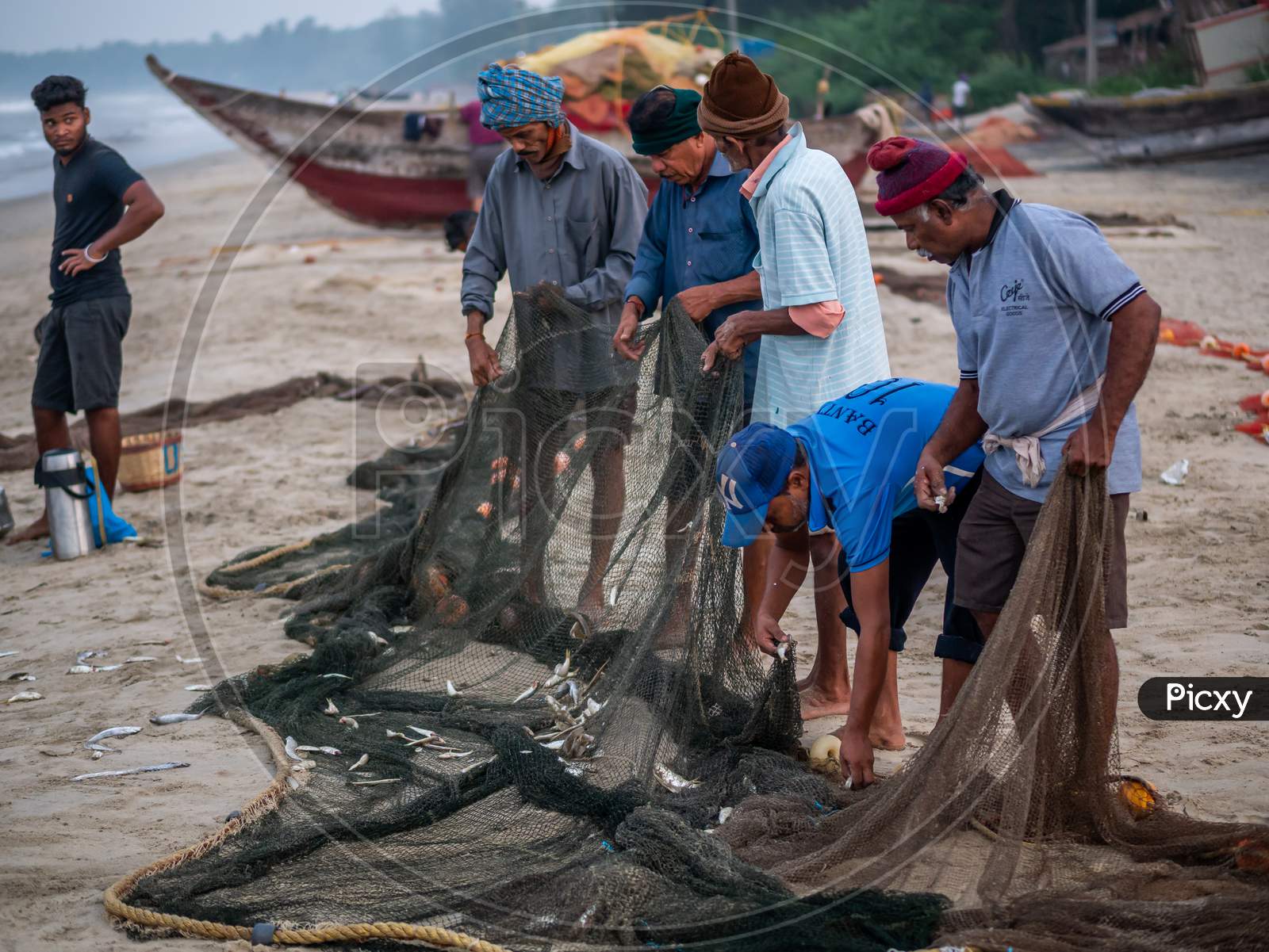 Image of Indian Fishermen Sorting Freshly Catch Fish From Fishing Net At  Malvan Beach At Morning-OU043898-Picxy