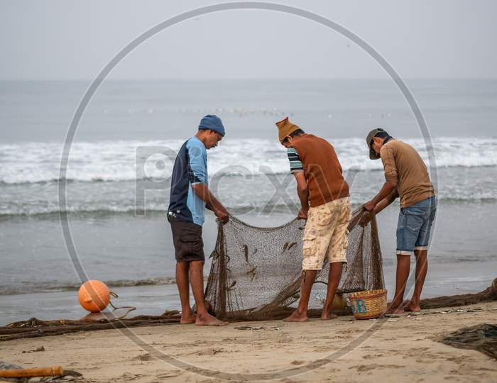 Indian Fishermen Sorting Freshly Catch Fish From Fishing Net At Malvan Beach At Morning