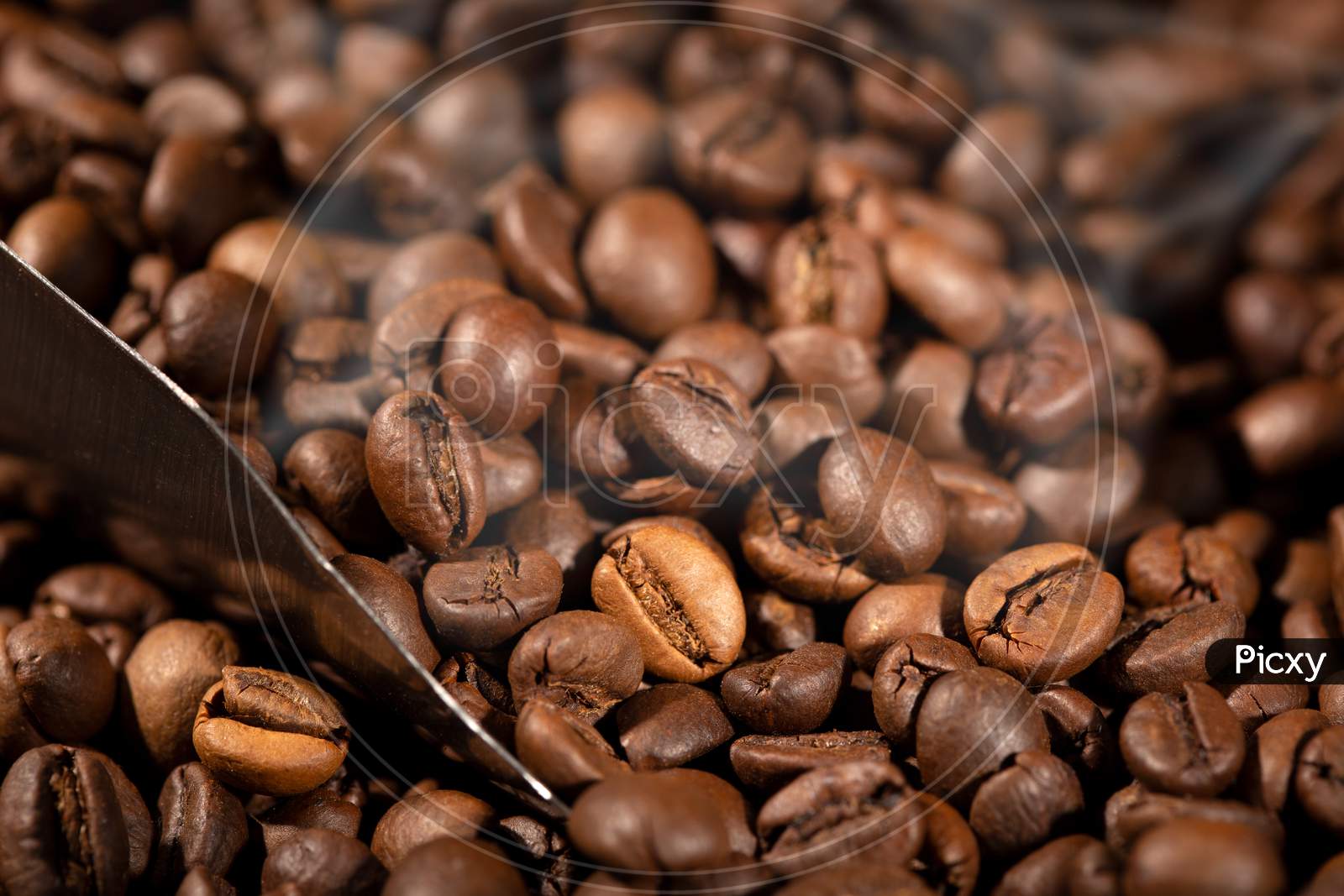 Roasted Coffee Beans And Scoop