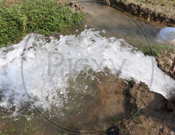 Water Splash Of Pump On Paddy Firm