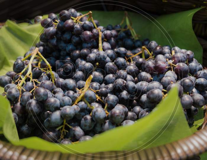 A Pile Of Fresh Organic Ripe Sweet Juicy Black Seedless Grapes In The Wicker Basket.