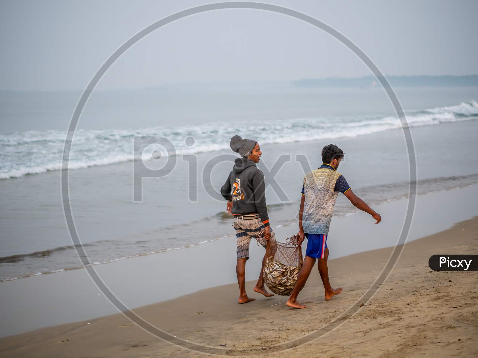 Indian Fishermen Carrying Freshly Catch Fish At Malvan Beach At Morning