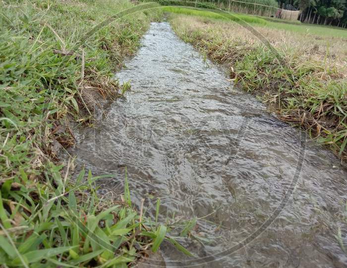 Water Drain Closeup On Paddy Firm