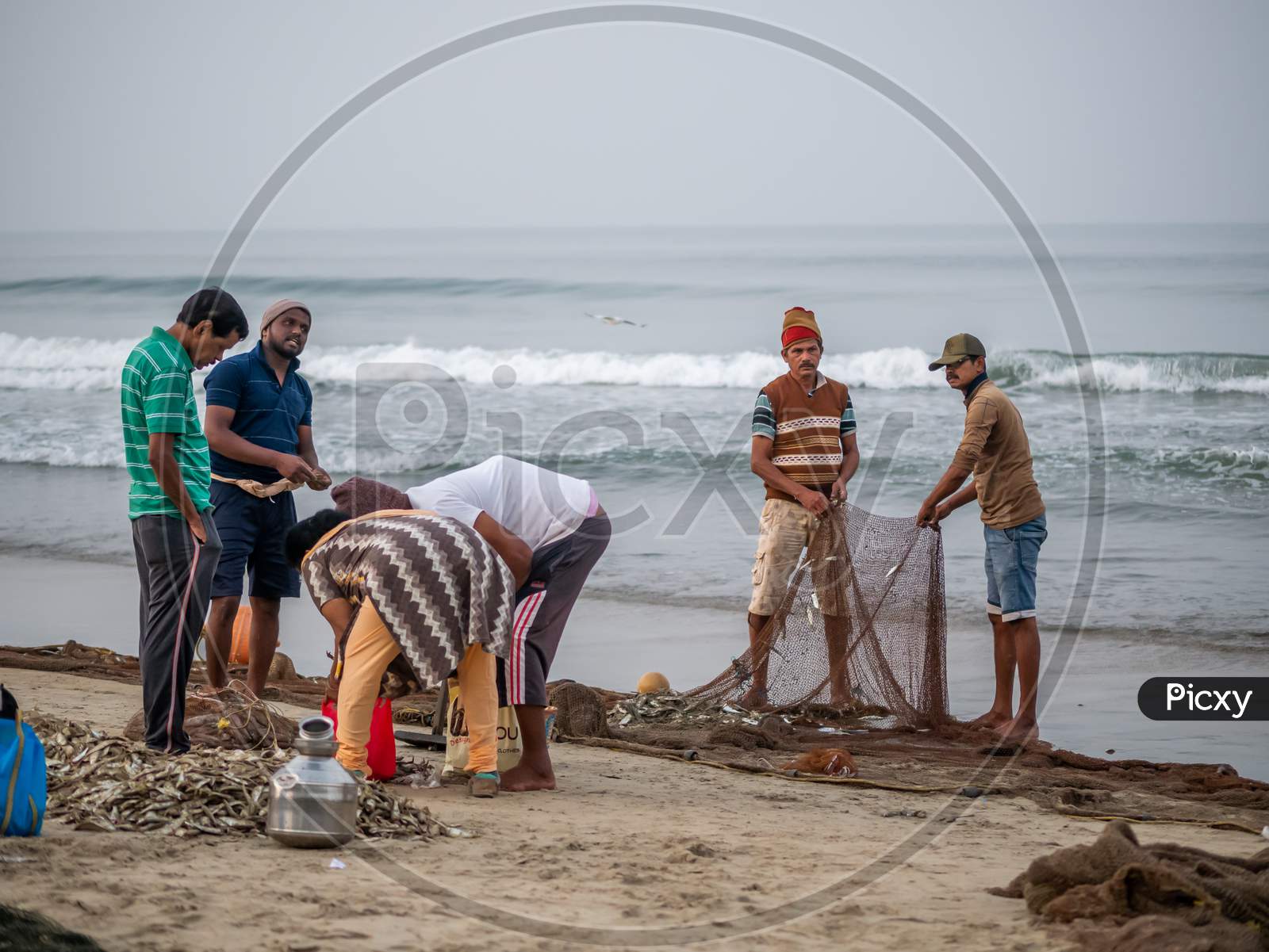 Image of Indian Fishermen Sorting Freshly Catch Fish From Fishing