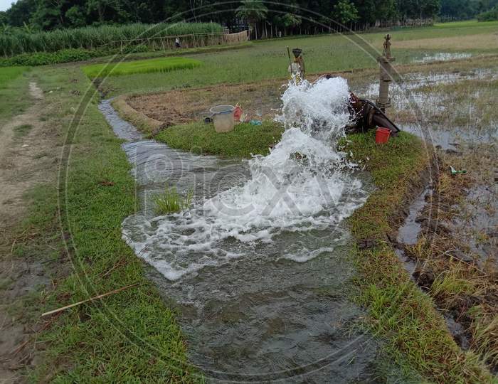 Water Splash Of Pump On Paddy Firm