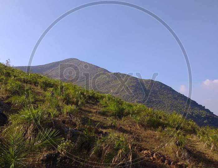 deomali hill of odisha koraput district