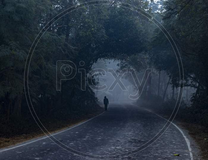 Man Walking On Road, Scary Dark Night In Forest