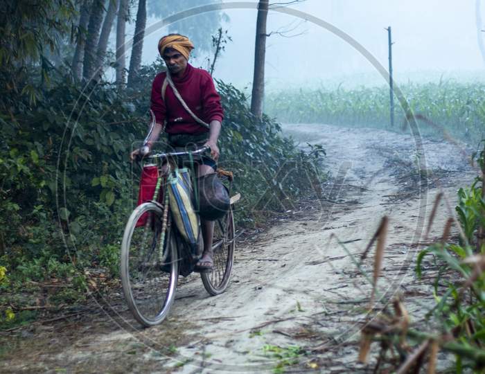 One Person Riding Cycle On Road Between The Forest Begusarai, Bihar, India 20-01-2021