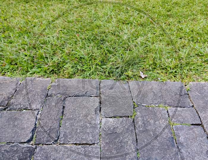 Green Grass With Natural Rough Stones
