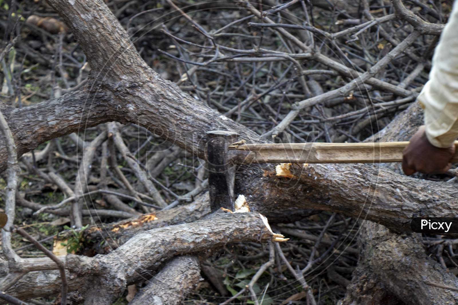 Close-Up Of Woodcutter Axe In Motion, Bring Down Trees Concept
