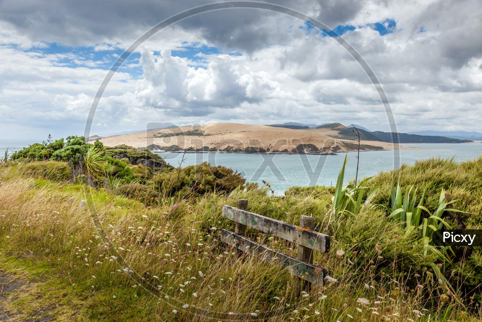 Coastal Walk Near Arai-Te-Uru Recreation Reserve In Omapere In New Zealand