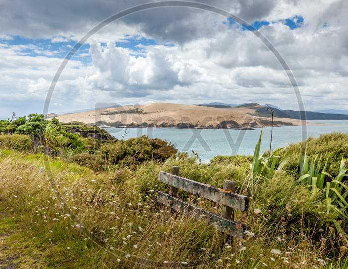 Coastal Walk Near Arai-Te-Uru Recreation Reserve In Omapere In New Zealand
