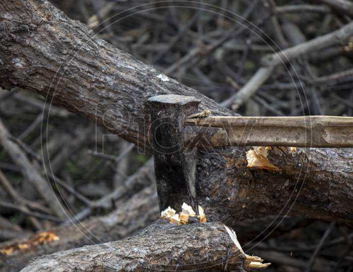 Close-Up Of Woodcutter Axe In Motion, Bring Down Trees Concept