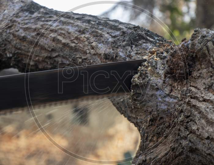 Close-Up Of Woodcutter Sawing Chain Saw In Motion, Bring Down Trees Concept