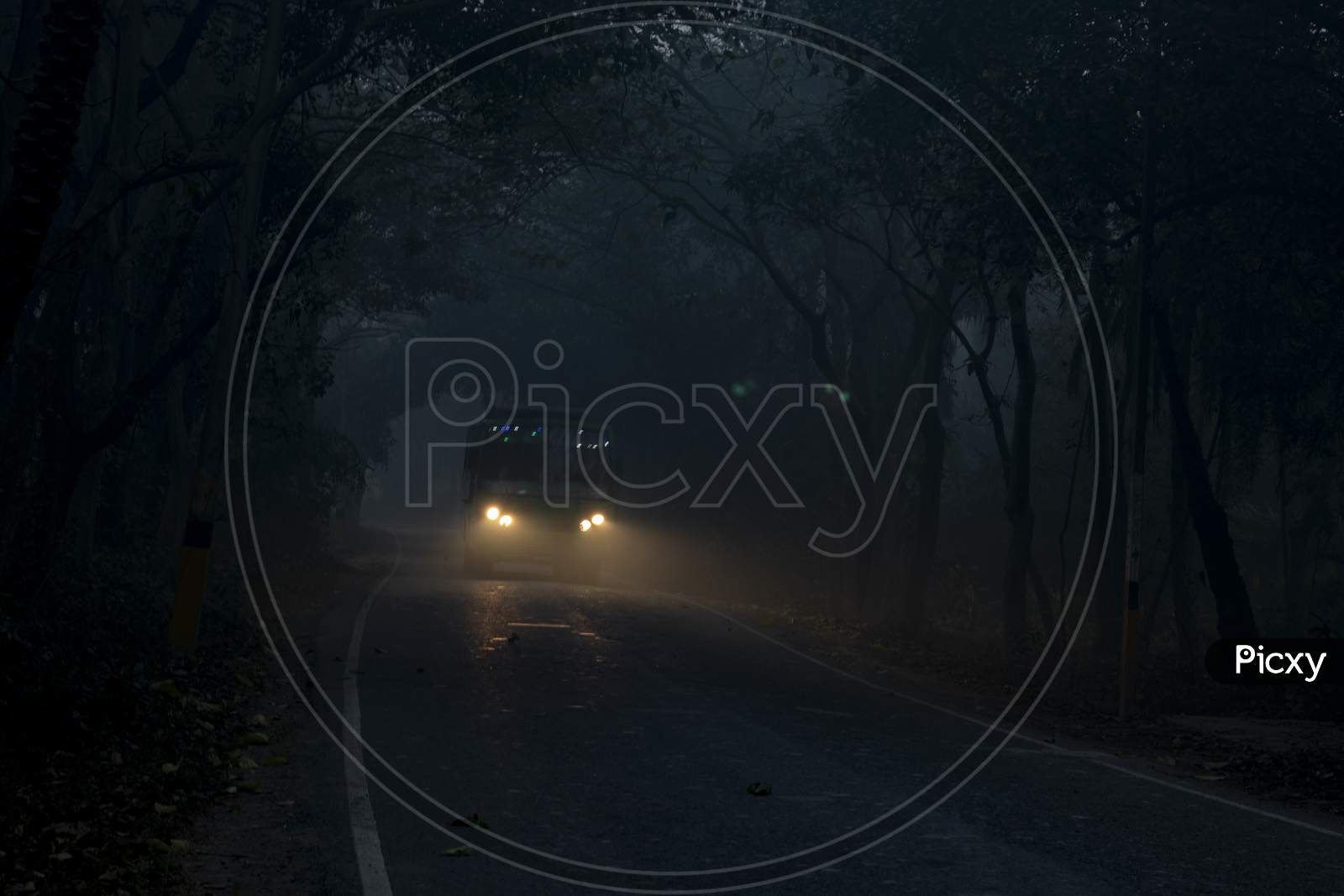Vehicle Running On Road, Scary Dark Night In Forest