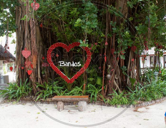 Love Tree in Bandos