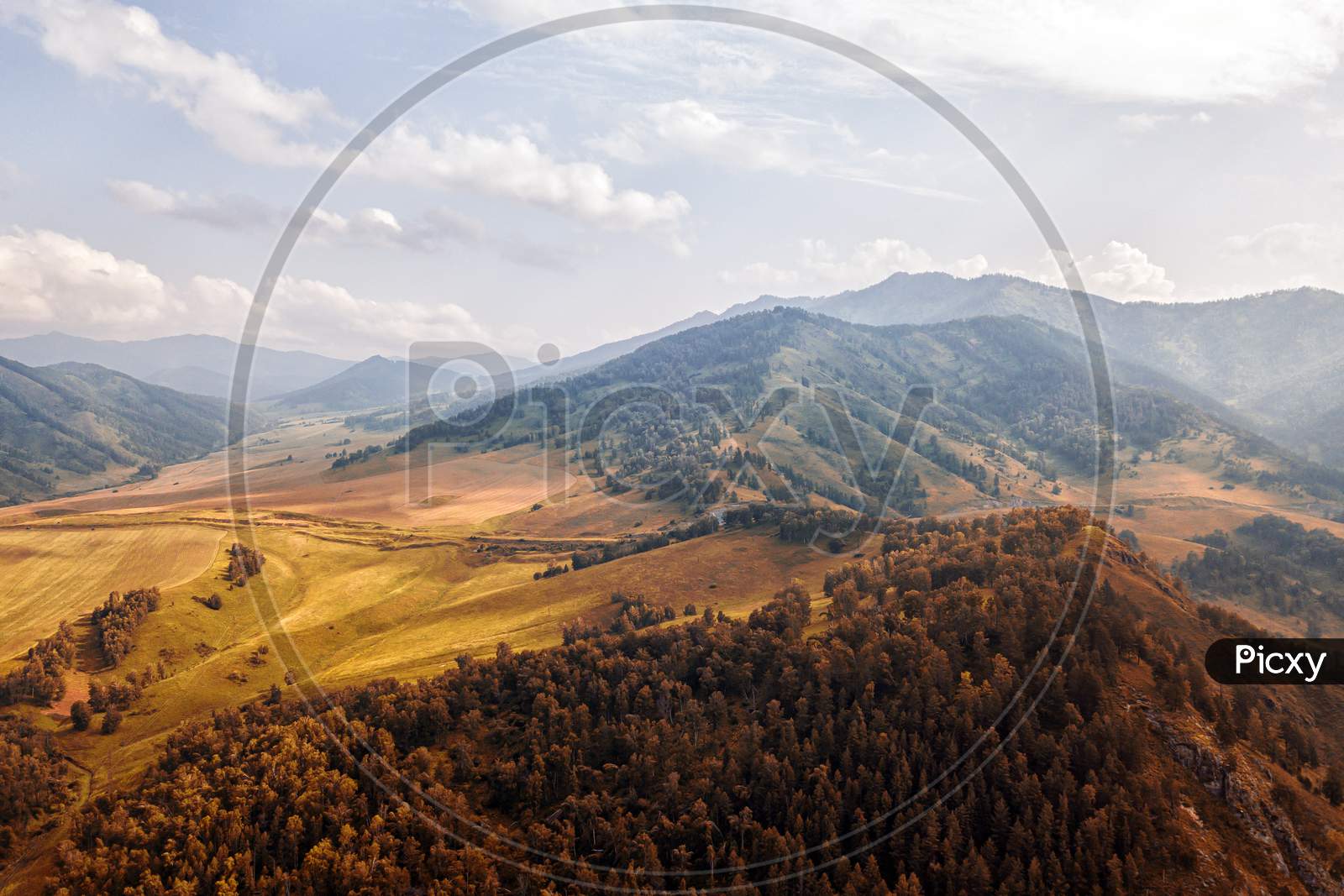 A Landscape View Of Beautiful  Autumn Forest, Road  Chui Tract And  Altai Mountain Background.  Panoramic View Of Beautiful Green Forest In The Altai Mountains