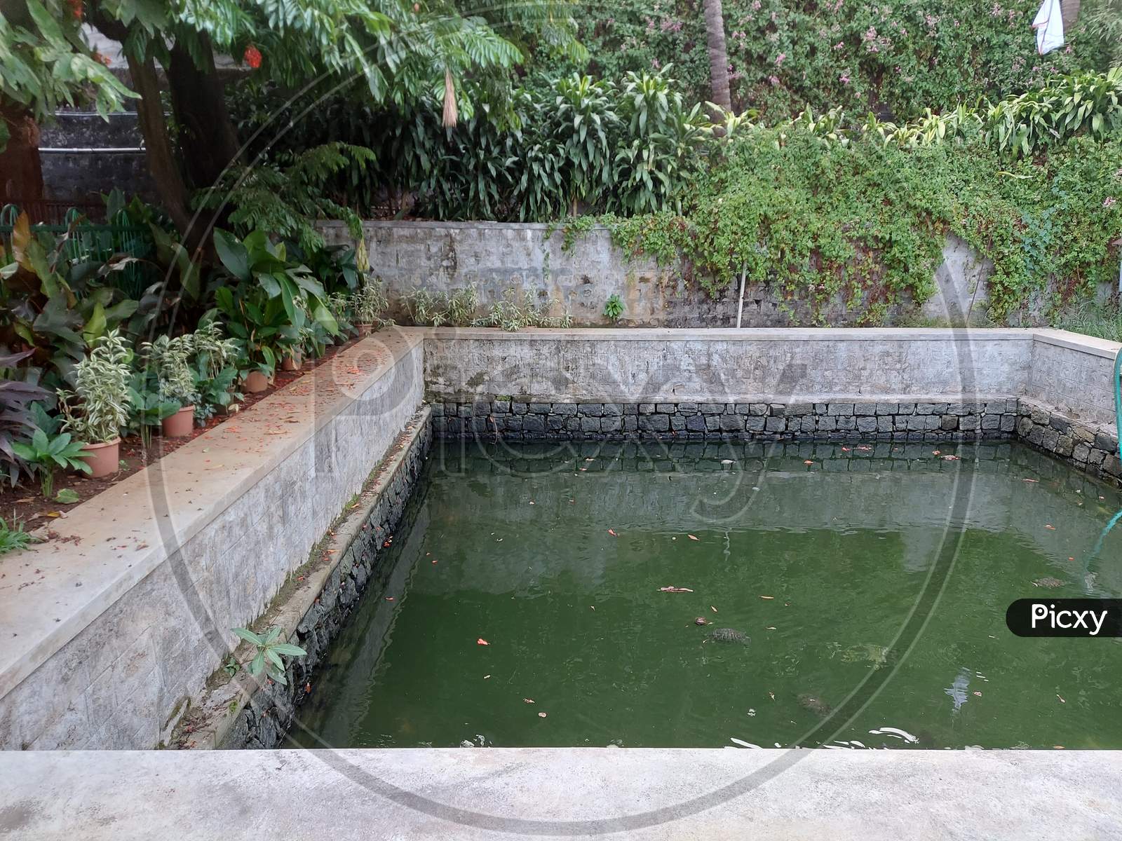 Garden Pond surrounded with green plants and trees, near daramasthala temple, Karnataka, India
