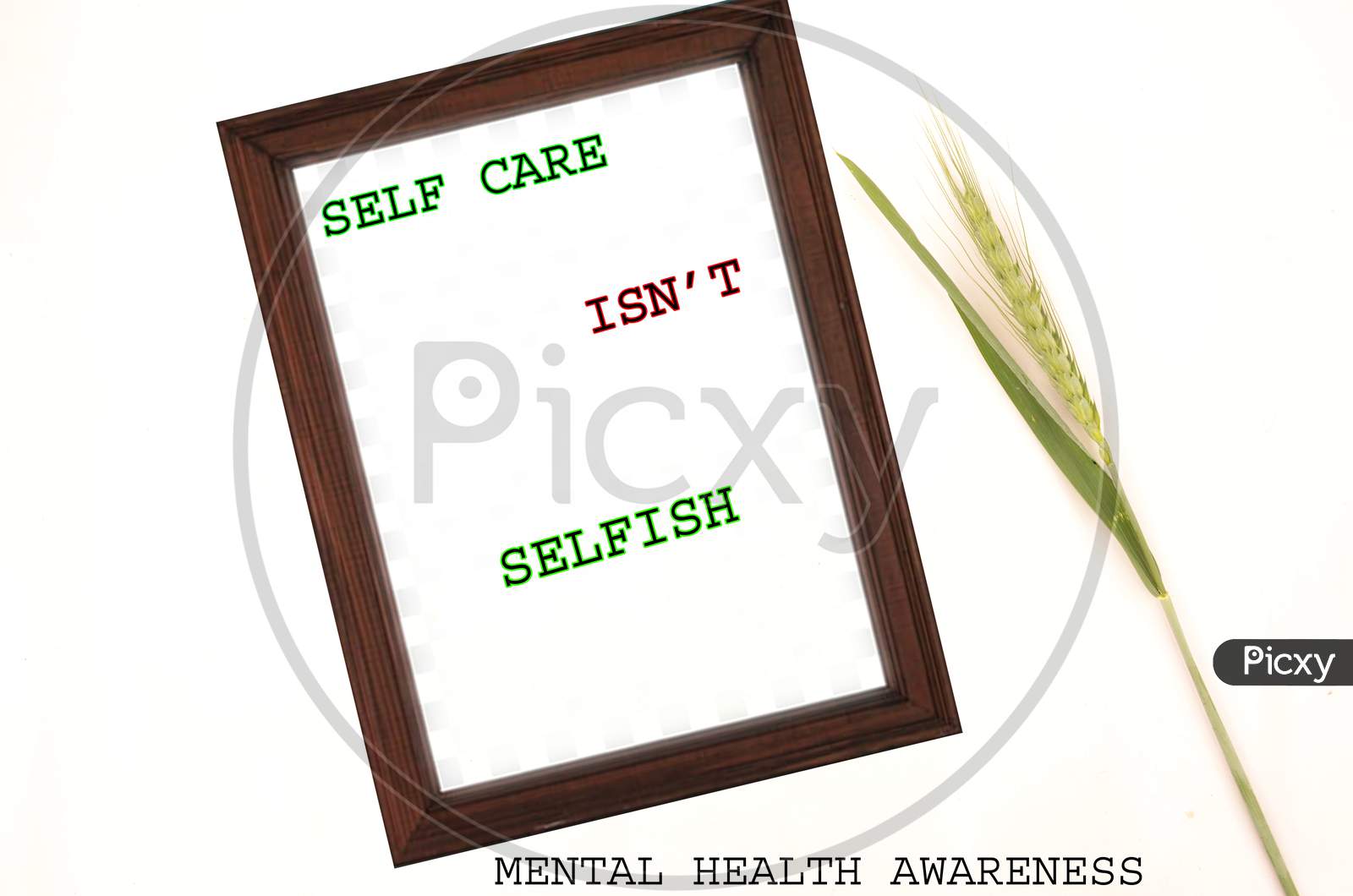 Self Care Is N'T Selfish Concept Mental Health Awareness With Green Plant On The White Background.