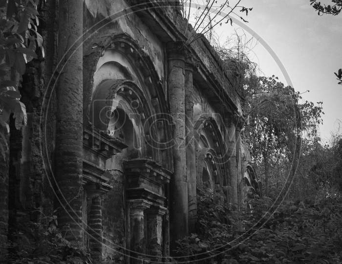 A part of an ancient residence, abandoned, bushes and trees grew around. Vintage, black and white.